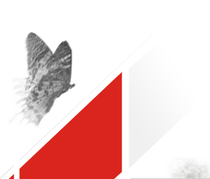 afacere pe internet vanzari online campanie promovare web servicii de reclama solutii pentru a creste traficul siteului